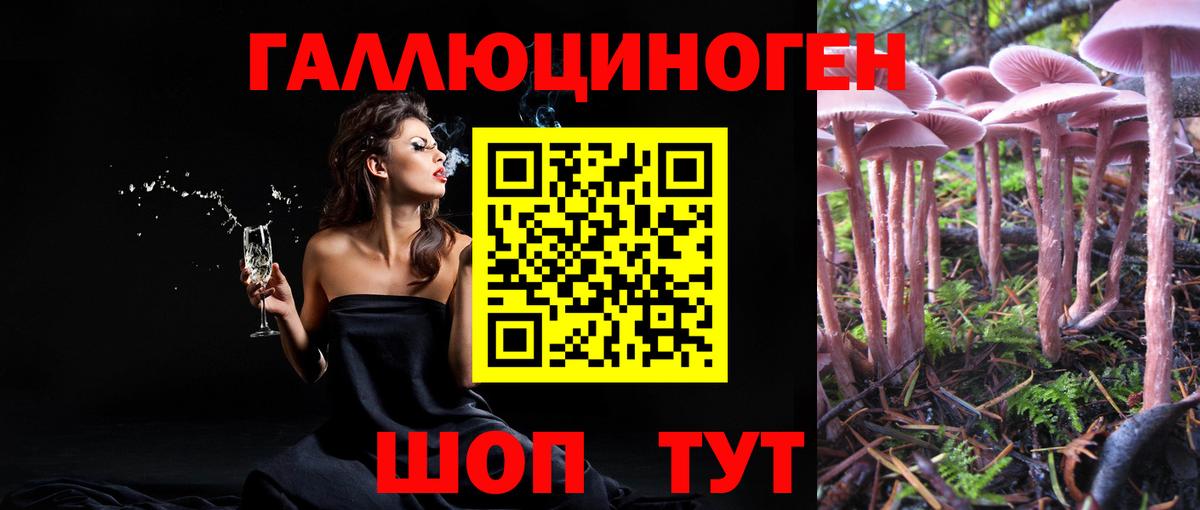 Донской  Псилоцибиновые грибы GOLDEN TEACHER  Вход с VPN 