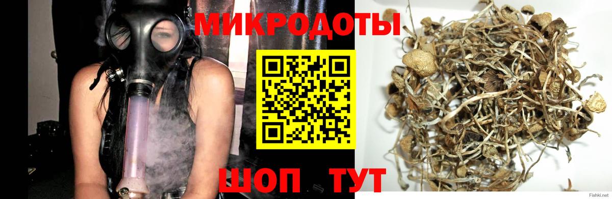 Галлюциногенные грибы Cubensis Донской