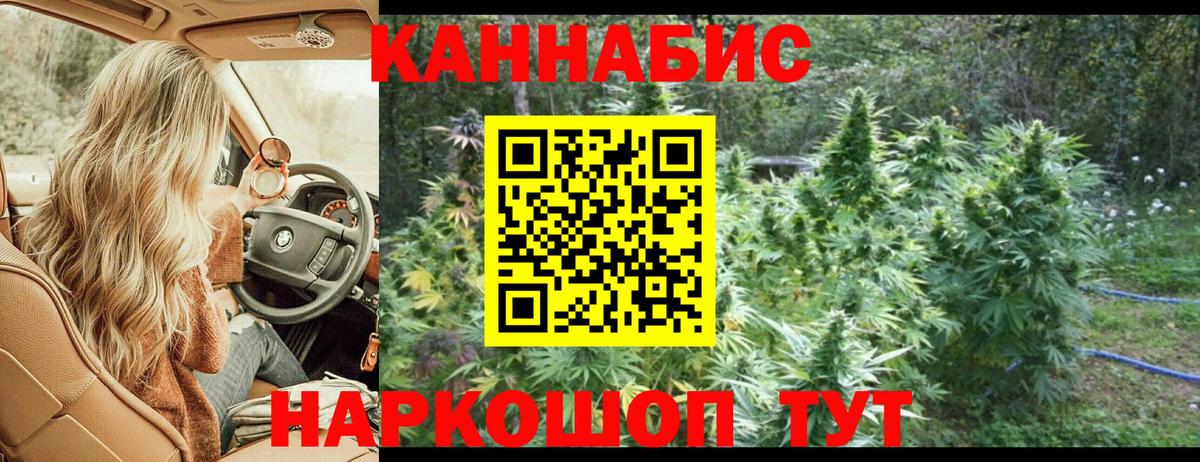 Шишки марихуана сатива  Каннабис THC 21%  Донской  Марихуана гибрид  Вход с VPN 